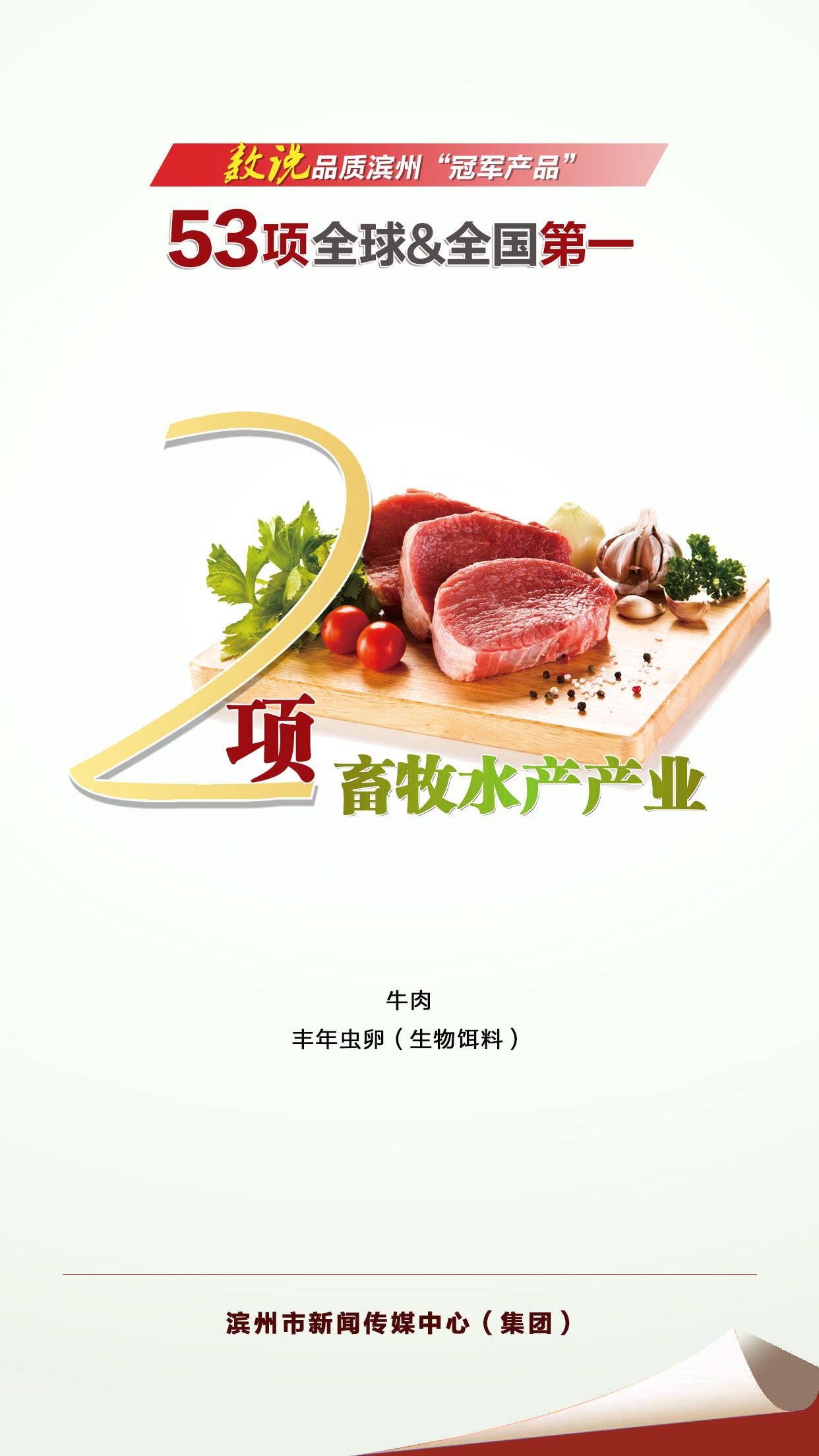 数说品质滨州“冠军产品” 53项全球全国第一 | 2项畜牧水产产业(图1)