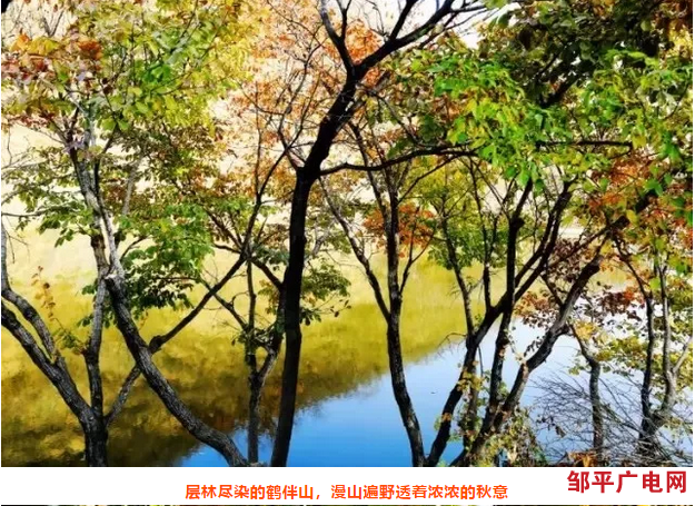 邹平旅游助力鲁北县域旅游合作，联合推出秋季自驾游线路(图6)