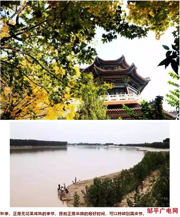 邹平旅游助力鲁北县域旅游合作，联合推出秋季自驾游线路(图7)