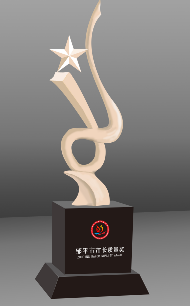 2021年度（第一届）邹平市市长质量奖标志和奖杯设计获奖名单公示(图9)
