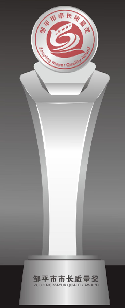 2021年度（第一届）邹平市市长质量奖标志和奖杯设计获奖名单公示(图2)