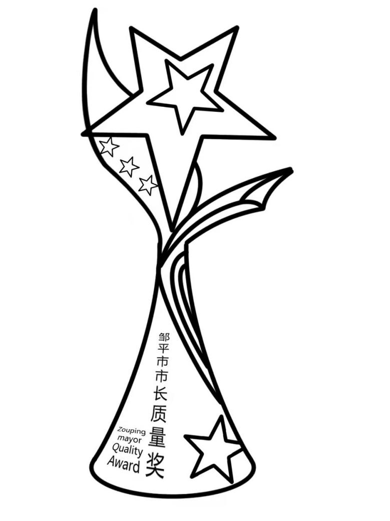 2021年度（第一届）邹平市市长质量奖标志和奖杯设计获奖名单公示(图20)