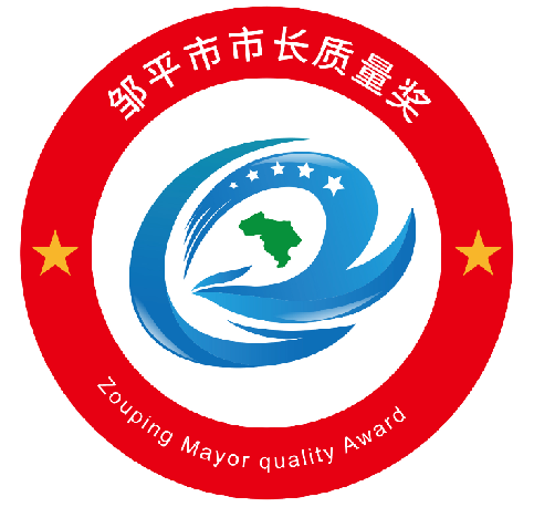 2021年度（第一届）邹平市市长质量奖标志和奖杯设计获奖名单公示(图24)