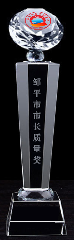 2021年度（第一届）邹平市市长质量奖标志和奖杯设计获奖名单公示(图22)